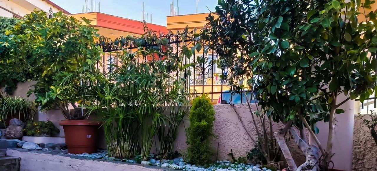 West Garden At Aigio By Greece Apartments المظهر الخارجي الصورة